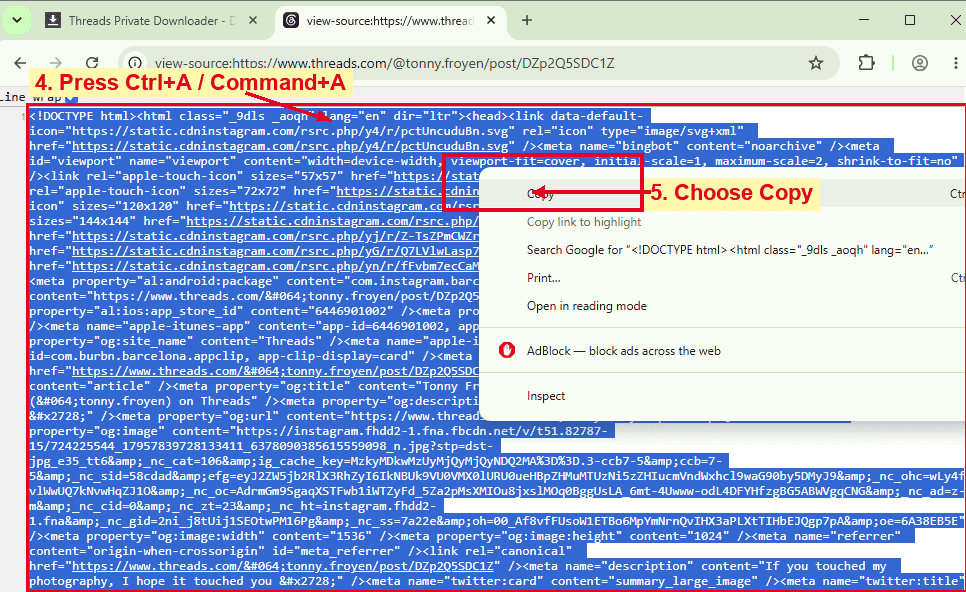 Copy private Threads page source